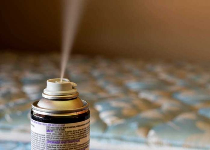 Foto: Emergencia por Plaga de Chinches en Escuelas Francesas / Cortesía