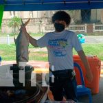 ¡Todo en mariscos! Usted lo puede encontrar en la Feria del Mar en Managua Foto: ¡Todo en mariscos! Usted lo puede encontrar en la Feria del Mar en Managua/TN8