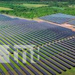 Nicaragua se prepara para el inicio del megaproyecto solar El Hato Foto: Nicaragua: Pasos gigantes en la generación de energía sostenible con la planta solar "El Jaguar" / TN8