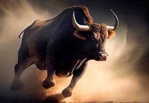 Animal furioso: Hombre embestido por un toro en Ometepe (Video) Foto: Animal furioso: Hombre embestido por un toro en Ometepe (Video) / TN8