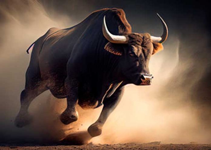 1 Foto: Animal furioso: Hombre embestido por un toro en Ometepe (Video) / TN8