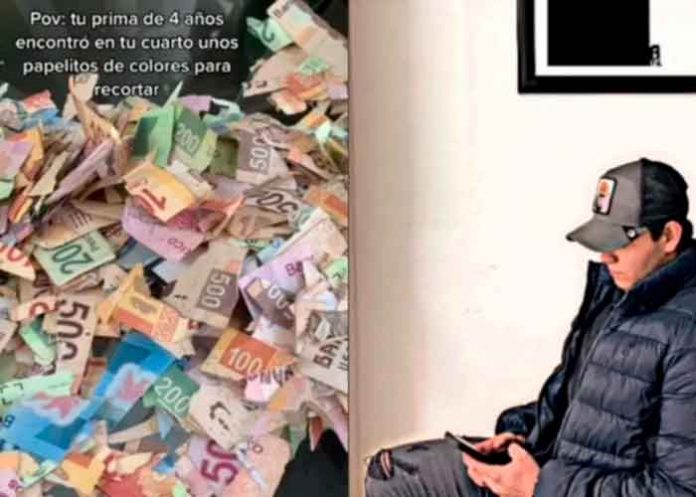 Corta los ahorros de su primo al pensar que eran papelitos de colores (Video)