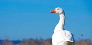 Foto: Degenerado "Se jala el ganso" en un metro como ¡Pedro por su casa!/Cortesía