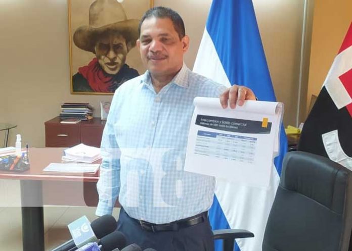 Sector porcino de Nicaragua experimenta notable crecimiento en sus inventario de granjas