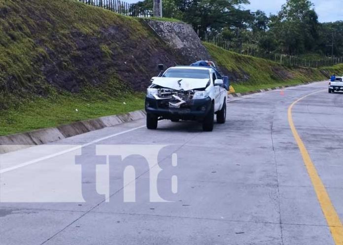 1 Tragedia en Mulukukú: Equino fallece tras colisión con camioneta en Río Blanco