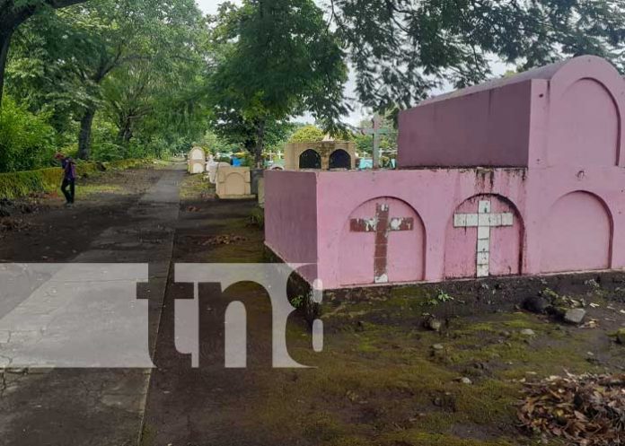 MINSA ejecuta plan de Protección de la Salud en los Cementerios