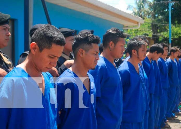 Foto: Policía Nacional contra la delincuencia /7N8