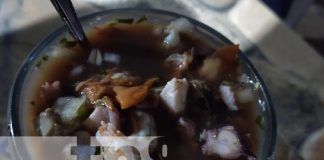 ¿Con cuál respondes más?, ¿con el Embramado, el Pizón o el Mía Califa? Tres ceviches, vuelve a la vida