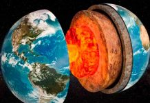 Foto: Misteriosa investigación de científicos /cortesía