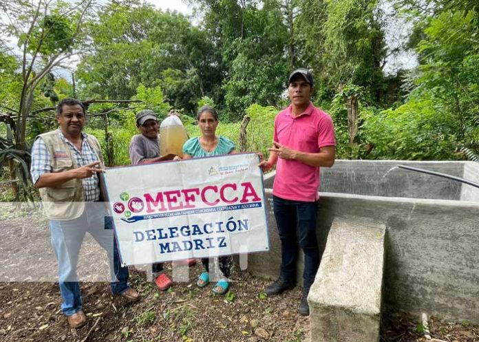 1 Ministerio de Economía Familiar impulsa la crianza de tilapias en Madriz