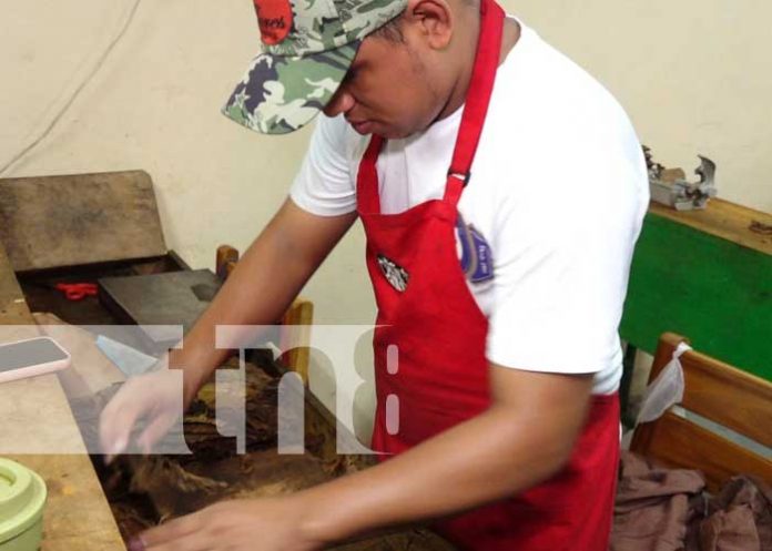 El camino hacia una sociedad más inclusiva a través del empleo en Masaya