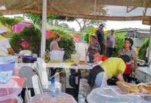 Foto: Parque de Ferias: Excelente oportunidad para hacer negocios y disfrutar en familia / TN8