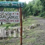 Negocios turísticos en la Isla de Ometepe activos de cara a la navidad y fin de año Foto: Negocios turísticos en la Isla de Ometepe activos de cara a la navidad y fin de año/TN8