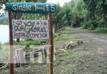 Negocios turísticos en la Isla de Ometepe activos de cara a la navidad y fin de año Foto: Negocios turísticos en la Isla de Ometepe activos de cara a la navidad y fin de año/TN8