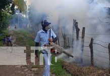 Brigadistas de fumigación llegan a los barrios de Muy Muy, Matagalpa Foto: Brigadistas de fumigación llegan a los barrios de Muy Muy, Matagalpa / TN8