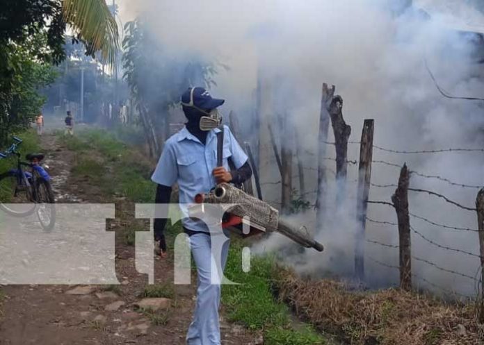 Foto: Brigadistas de fumigación llegan a los barrios de Muy Muy, Matagalpa / TN8