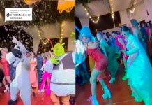 «Si mi boda no es así no me caso» Shrek se viraliza en redes "Si mi boda no es así no me caso" Shrek se viraliza en redes