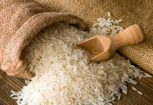 Buen comportamiento positivo en la siembra y cosecha de Arroz