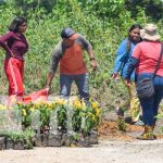 Finca de tecnología agropecuaria fortalecerá la producción en el Caribe Norte Foto: Finca de tecnología agropecuaria fortalecerá la producción en el Caribe Norte/TN8