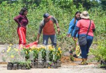 Finca de tecnología agropecuaria fortalecerá la producción en el Caribe Norte Foto: Finca de tecnología agropecuaria fortalecerá la producción en el Caribe Norte/TN8