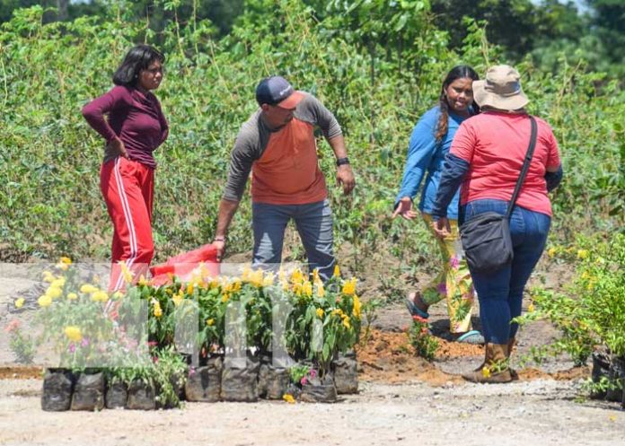 Foto: Finca de tecnología agropecuaria fortalecerá la producción en el Caribe Norte/TN8