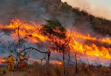 Foto: Incendio forestal en Argentina /cortesía