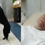 Hombre desahuciado pide que adopten a su perrito