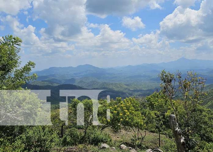 Foto: ¡Macuelizo, el tesoro escondido de Nueva Segovia! Para los amantes de la naturaleza/TN8