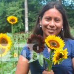 Foto: ¡Heliconias! El paraíso de los girasoles en Catarina/TN8