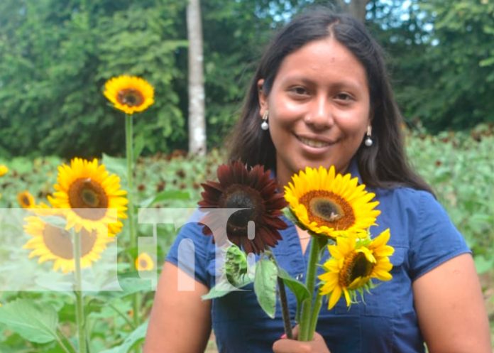 2 Foto: ¡Heliconias! El paraíso de los girasoles en Catarina/TN8