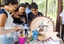 Jóvenes y adultos de Nandaime exhiben creatividad en feria de proyectos de vida Foto: Jóvenes y adultos de Nandaime exhiben creatividad en feria de proyectos de vida/TN8