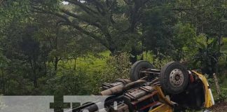 Foto: Camión cargado de ganado se precipita a un guindo en Muelles de los Bueyes / TN8
