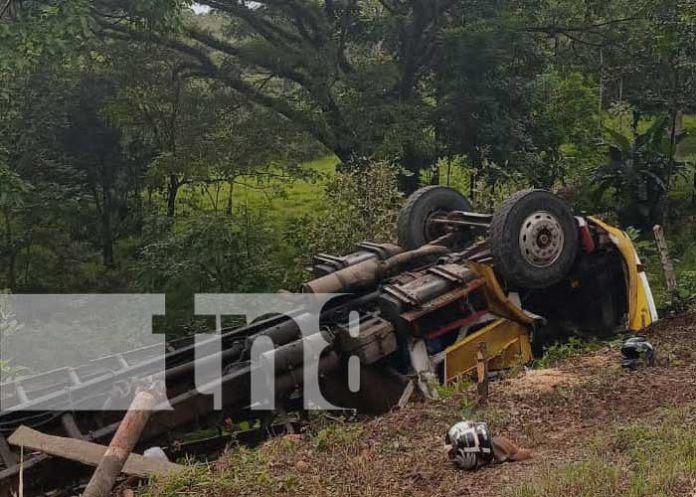 Foto: Camión cargado de ganado se precipita a un guindo en Muelles de los Bueyes / TN8