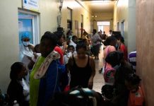 República Dominicana reporta numerosos casos de dengue Foto: República Dominicana reporta numerosos casos de dengue /cortesía