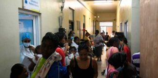 Foto: República Dominicana reporta numerosos casos de dengue /cortesía