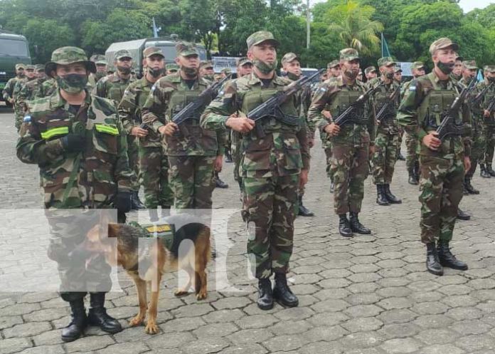 Foto: Inauguran plan de protección y seguridad a la cosecha cafetalera 2023−2024 en Managua/TN8