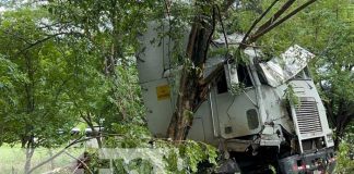 Foto: Rastra cargada de hierro se estrelló contra un árbol en el sector Santa Rita / TN8