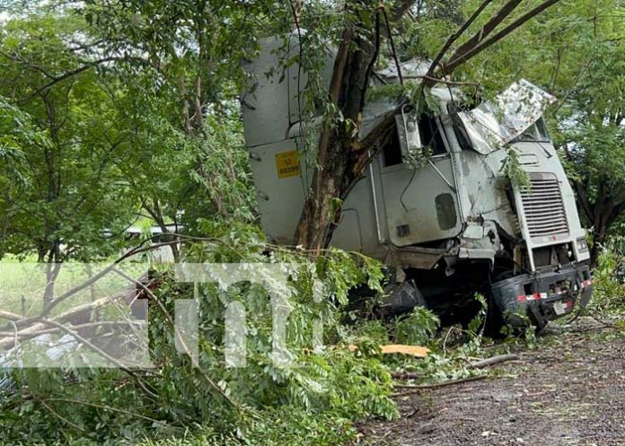 Foto: Rastra cargada de hierro se estrelló contra un árbol en el sector Santa Rita / TN8