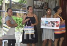 ¡Por amor a las tortugas! Mujeres se dedican al arte a través de las bolsas plásticas Foto: ¡Por amor a las tortugas! Mujeres se dedican al arte a través de las bolsas plásticas / TN8