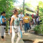 Familias Visitan el Parque Saurio en Nindirí: Una Aventura Prehistórica Foto: Familias Visitan el Parque Saurio en Nindirí: Una Aventura Prehistórica / TN8