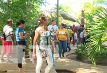 Familias Visitan el Parque Saurio en Nindirí: Una Aventura Prehistórica Foto: Familias Visitan el Parque Saurio en Nindirí: Una Aventura Prehistórica / TN8