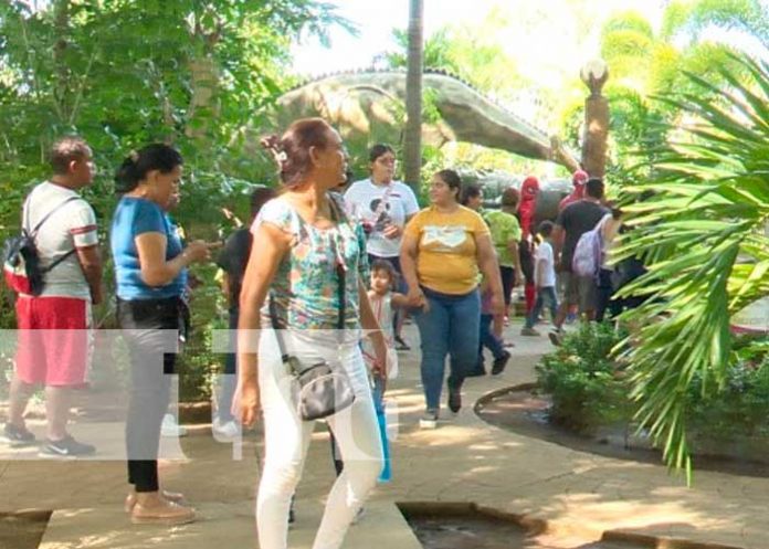 2 Foto: Familias Visitan el Parque Saurio en Nindirí: Una Aventura Prehistórica / TN8
