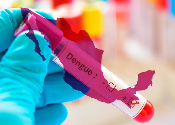 Foto:Barbados: Emergencia por Brote de Dengue en Aumento / Cortesía