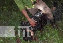 La policía investiga misterioso asesinato en el Río San Pancho Kukra La policía investiga misterioso asesinato en el río San Pancho Kukra