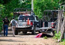En México 13 policías murieron en un brutal ataque de criminales