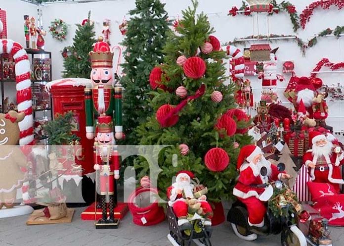 Foto: Vive la magia de la navidad /TN8