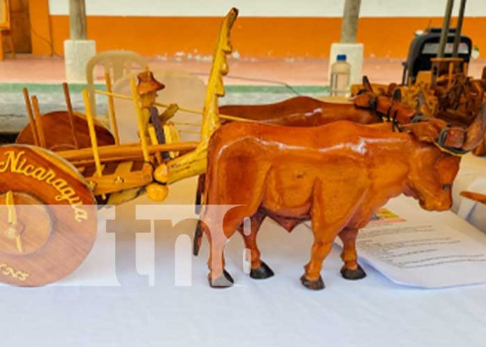 Foto: Innovación y excelencia en el Concurso Departamental Eco-Madera / TN8