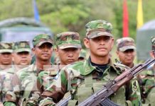 Ejército de Nicaragua garantiza protección de cosecha cafetalera en la región norte Foto: Ejército de Nicaragua garantiza protección de cosecha cafetalera en la región norte/TN8