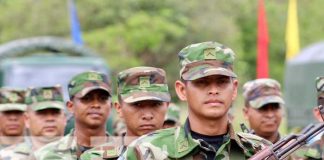 Foto: Ejército de Nicaragua garantiza protección de cosecha cafetalera en la región norte/TN8