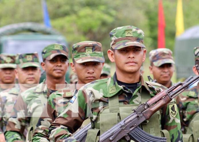 Foto: Ejército de Nicaragua garantiza protección de cosecha cafetalera en la región norte/TN8